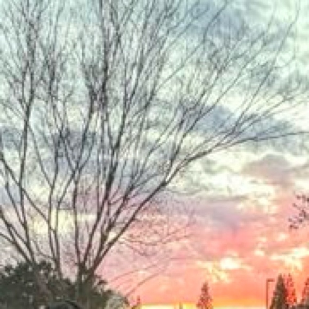 Meet your Posher, Ray